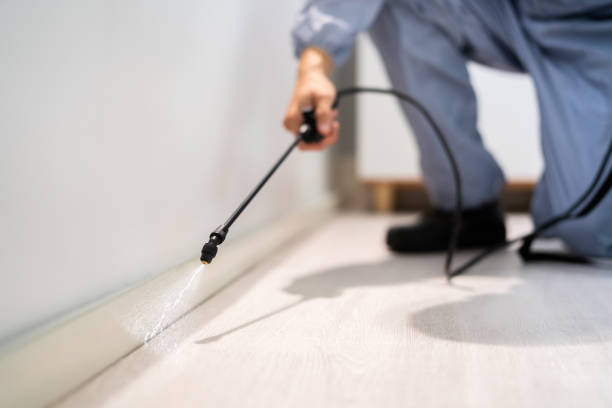 Licensed Termite Control service in Denton, NC - Nex Pest Control