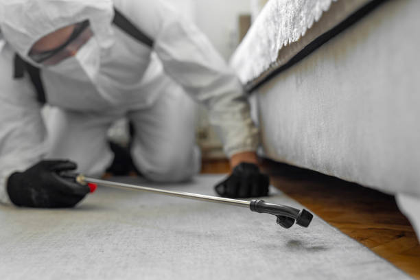 Professional Termite Control technician working in Denton, NC