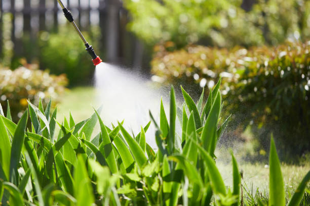 24/7 Emergency Termite Control experts in Denton, NC