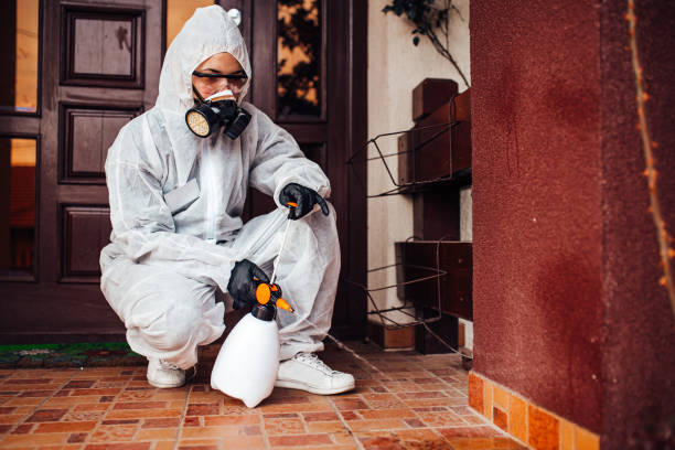 Reliable Termite Control contractor in Denton, NC by Nex Pest Control